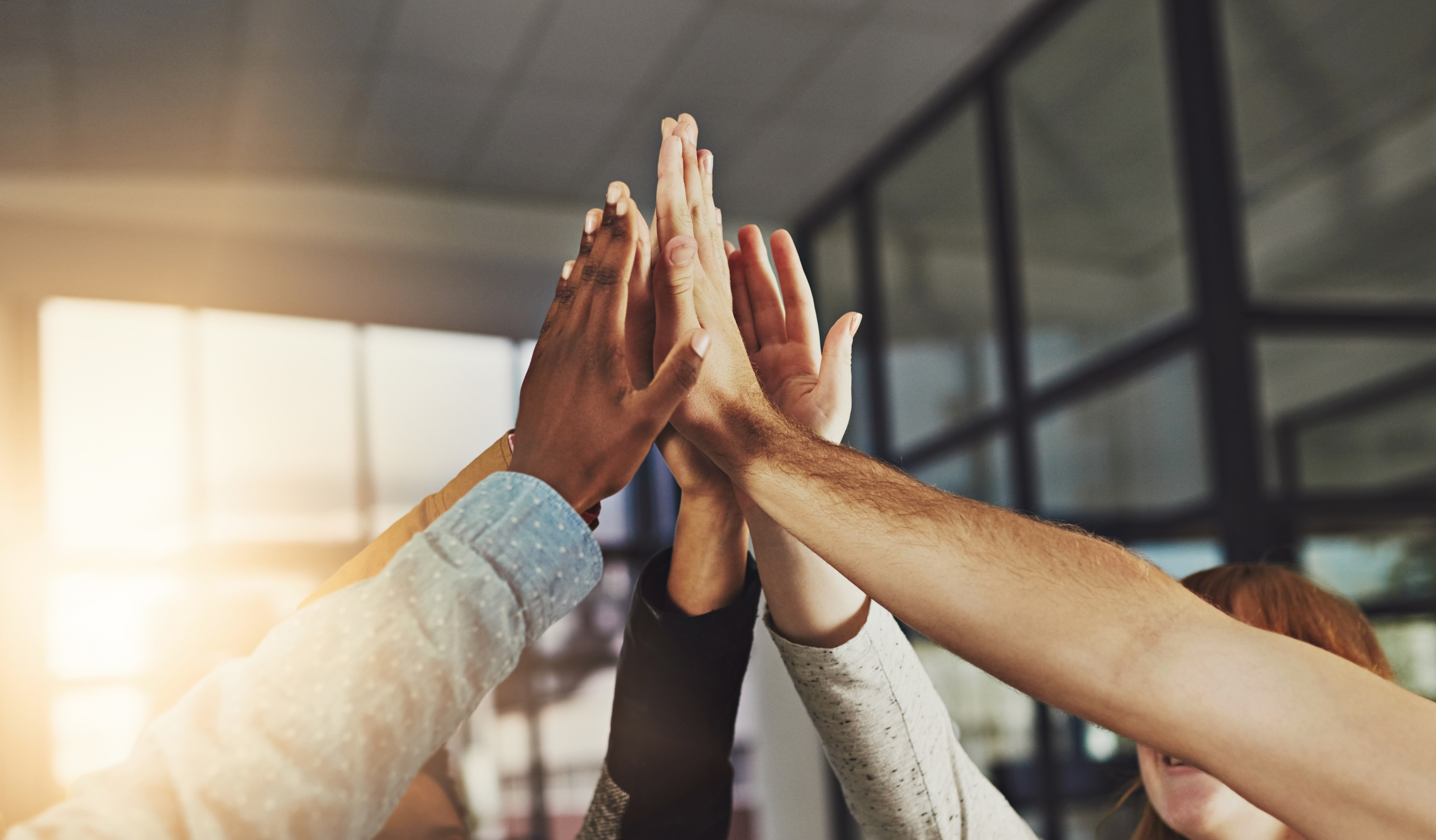 Collaborative workplace consulting and employee relations support